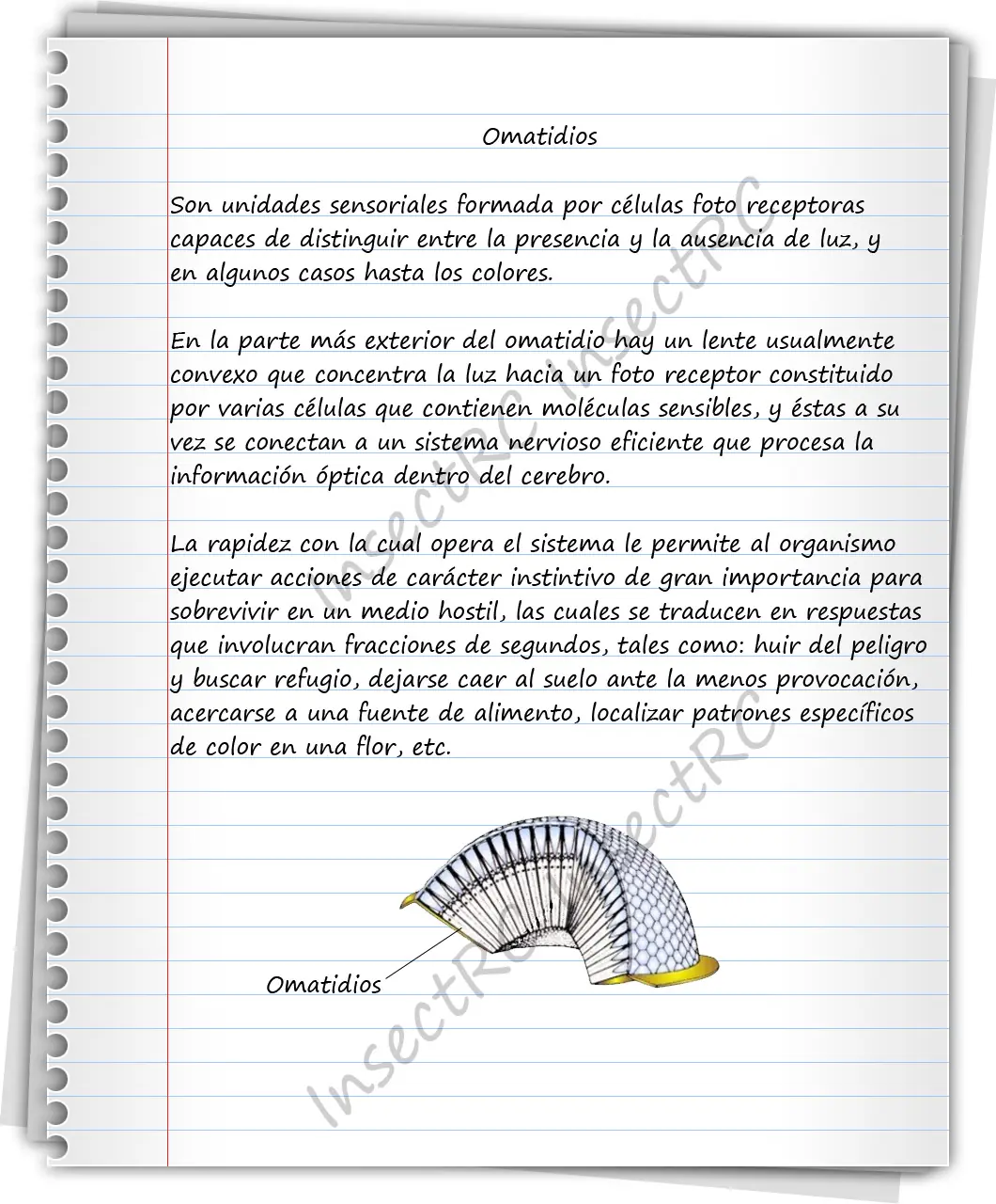 entomologia
