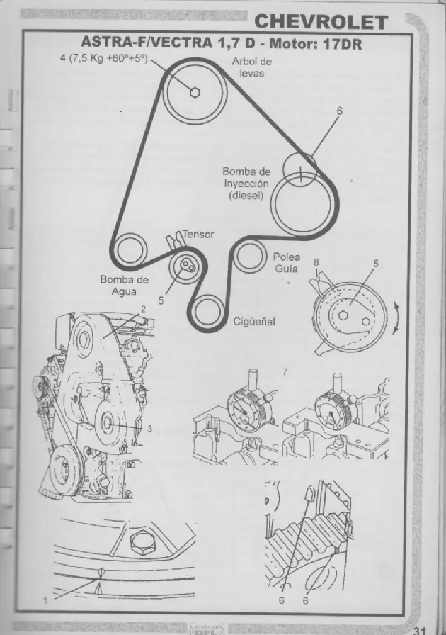 Correas de Distribución, Manuales nacionales