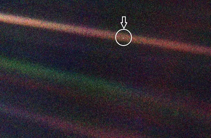 cosmos
