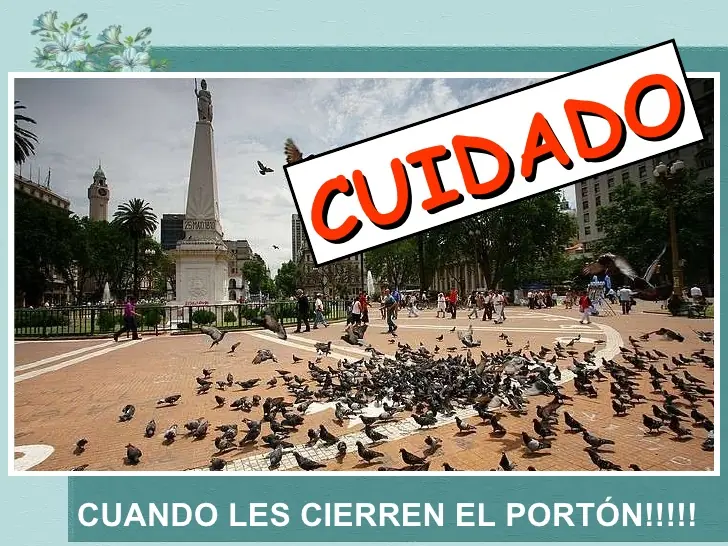 Que no te hagan la del chancho. Cuidate.