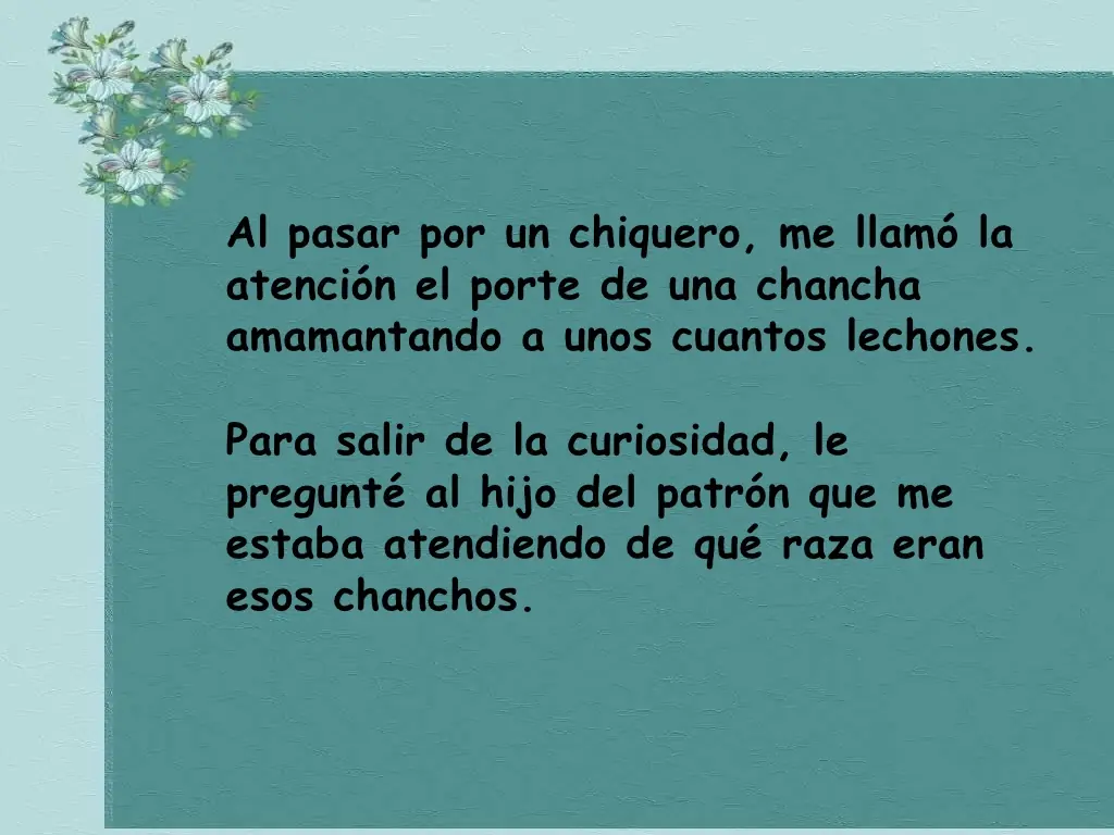 chanchos