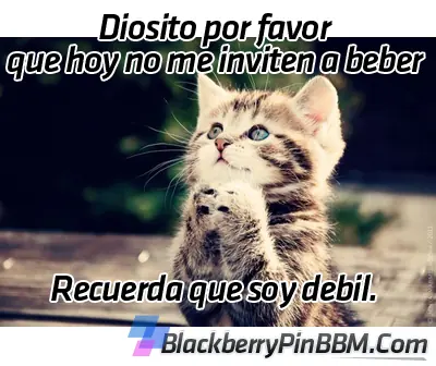 Humor para el Viernes!!!.