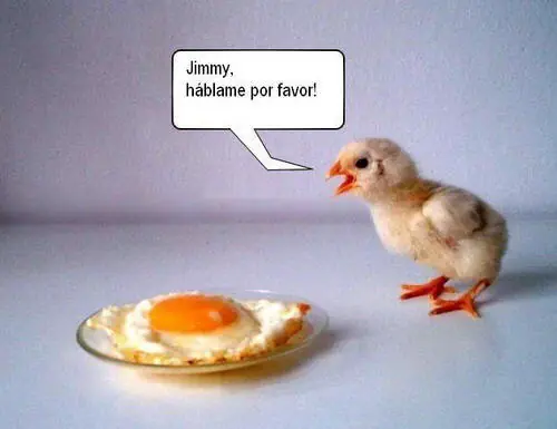 humor absurdo