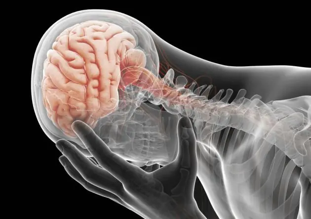 Qué pasa en el cerebro de una persona con depresión