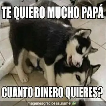 Imagenes Graciosas