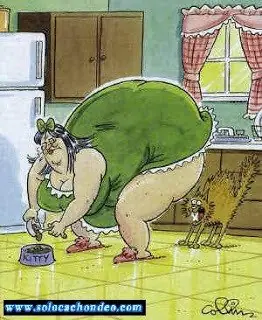 humor