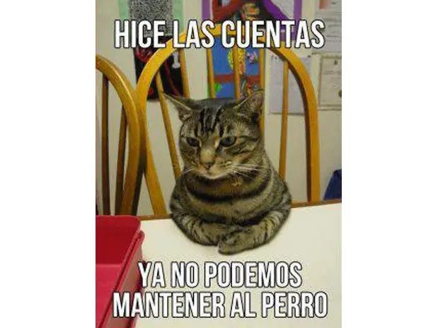 Humor Grafico