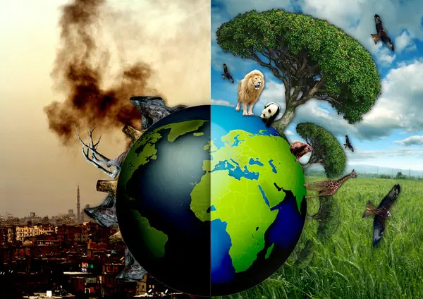 nuevas especies encontradas