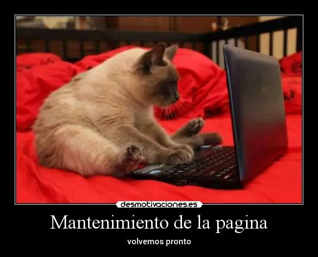 Aprende Como saber si una persona miente