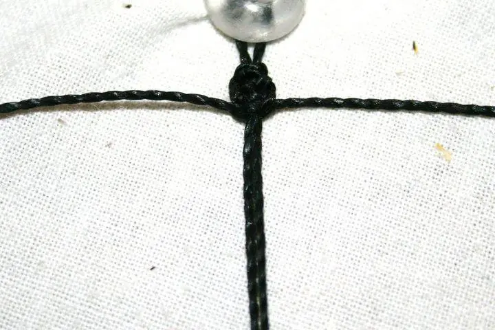 Vaquita de