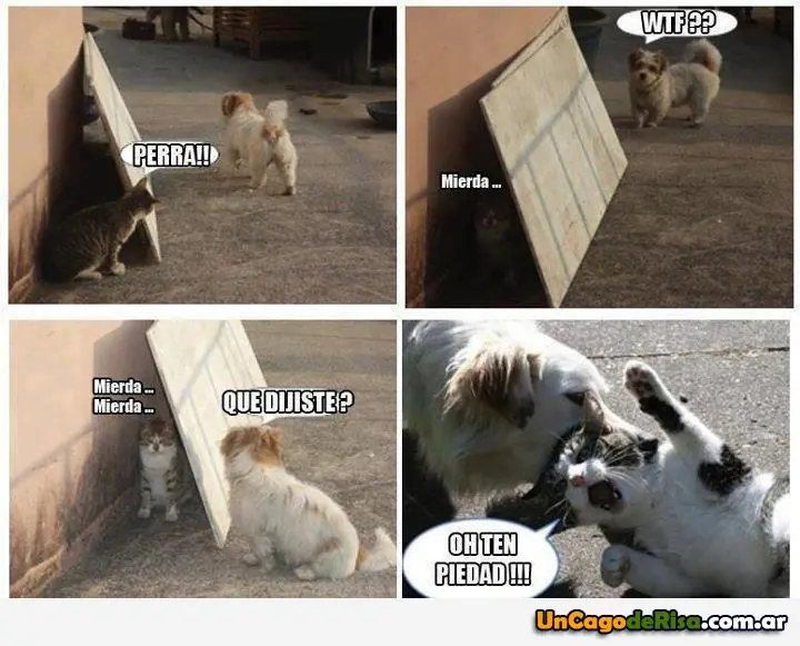 imagenes