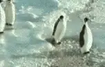en