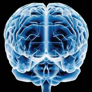 sabes cuanta informacion puede guardar nuestro cerebro