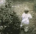 risas