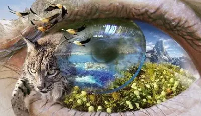 El ser humano y la Naturaleza