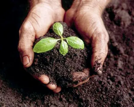 Actividad Económica Vs. Naturaleza