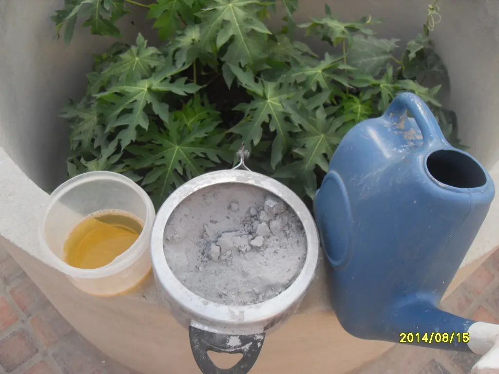 Fertilizo con orina y cenizas