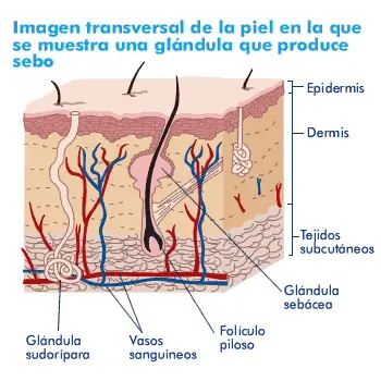 Desmintiendo Falacias. Qué curioso...