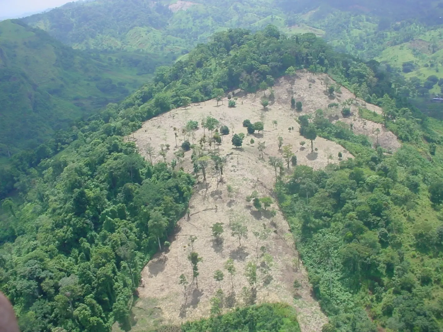 Actividad Económica Vs. Naturaleza