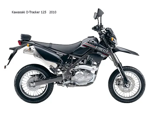 Ficha policial de Lisabeth Salander