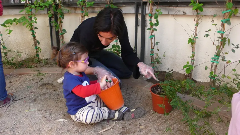 Plaguicida para plantas natural