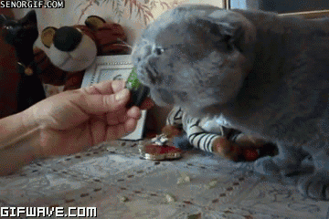 22 Sencillos Trucos para Sentirte Mejor!