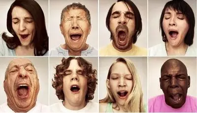 ¿Es contagioso el bostezo? ¿Y en animales?...