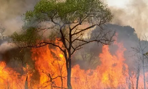 La Furia de la Naturaleza. Impactante!