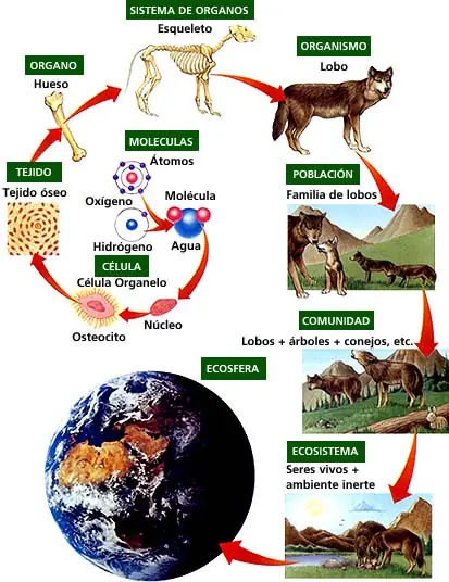 biosfera