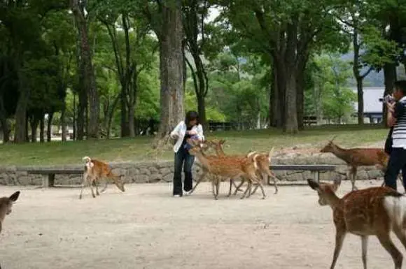 cuando los animales atacan... 2  :-)