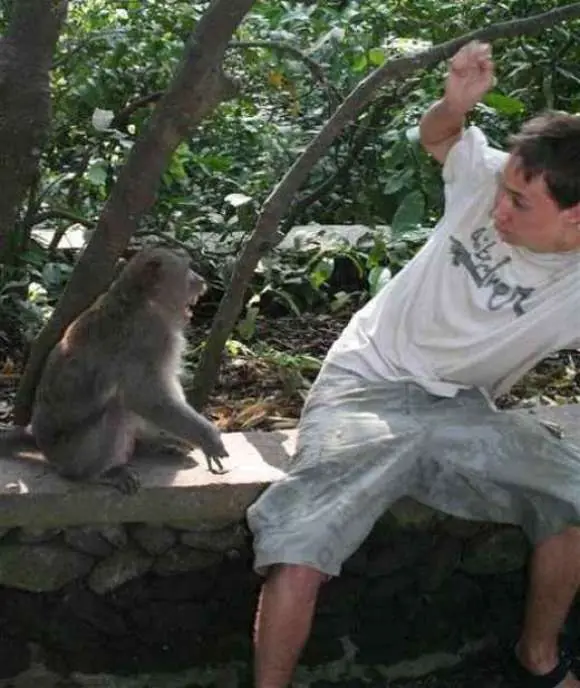 cuando los animales atacan... 2  :-)