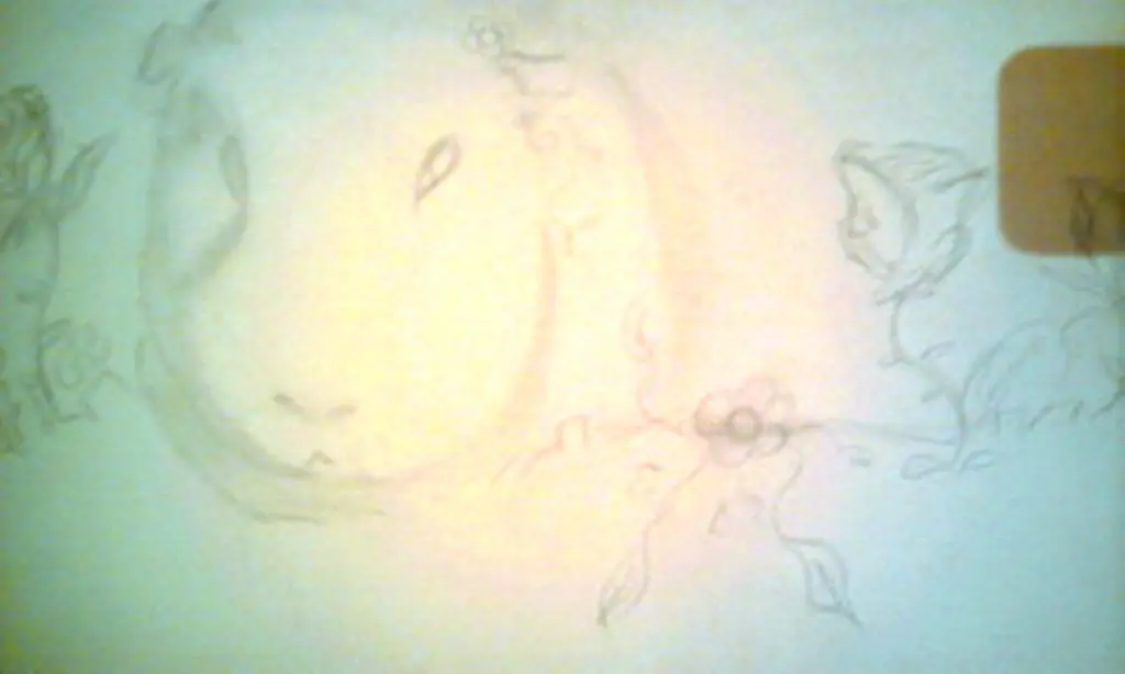 Dibujo
