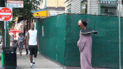 Gifs