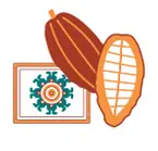 papel moneda