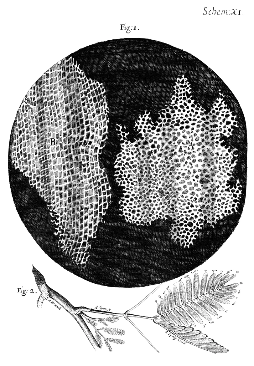 La Célula