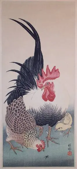 tercera