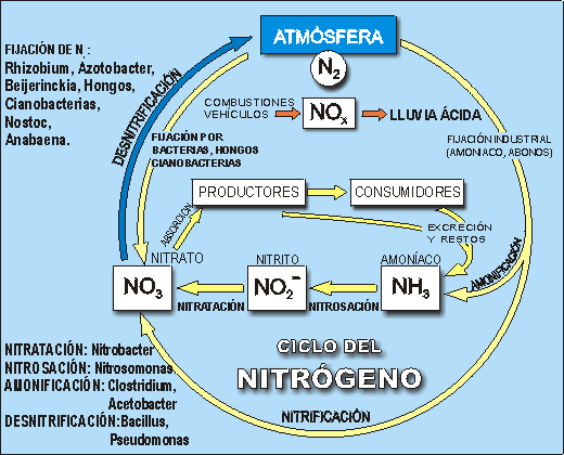 quimica