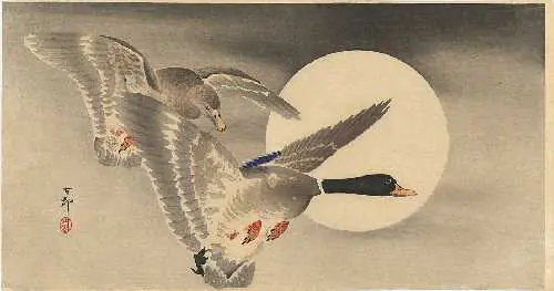 japones