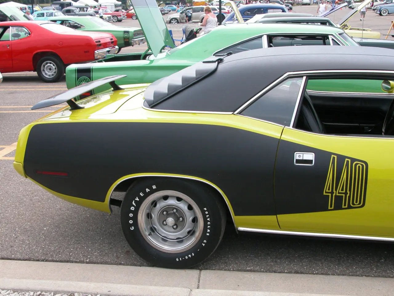 barracuda