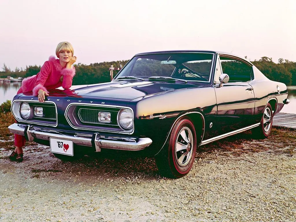 barracuda