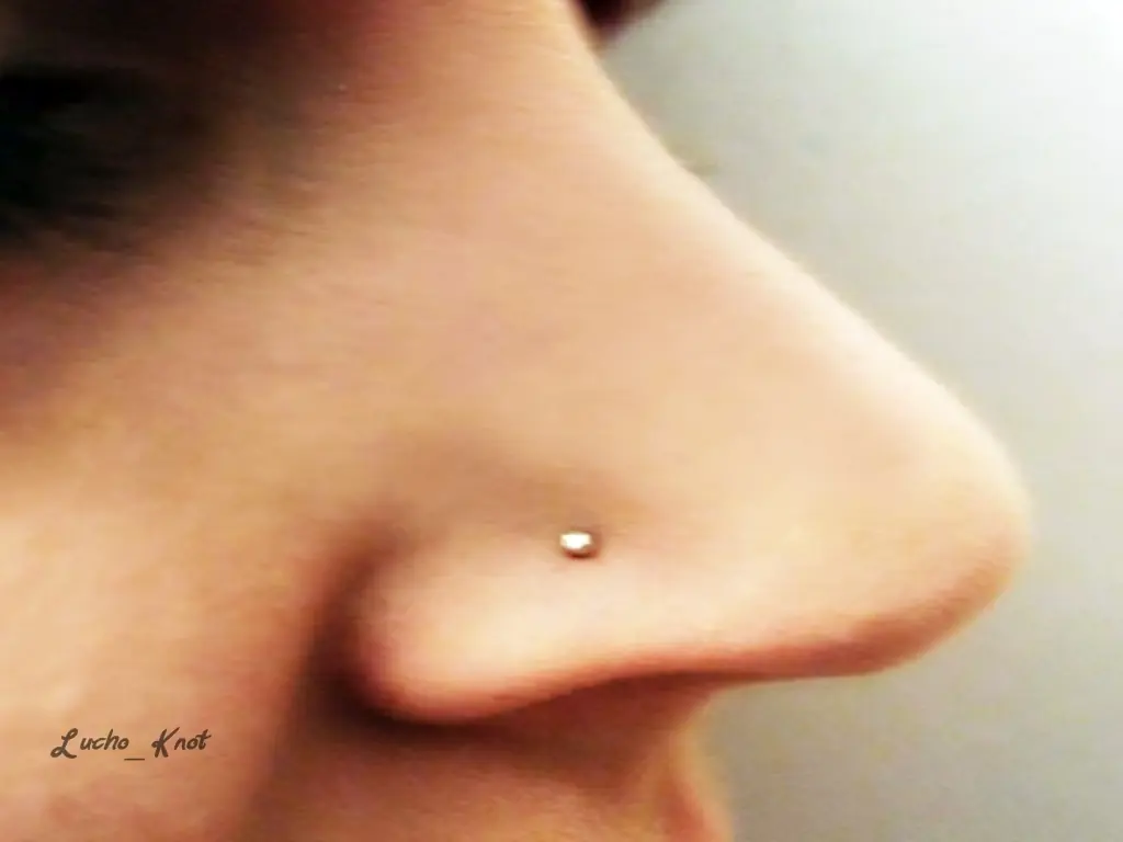 Los piercing. [Megapost]