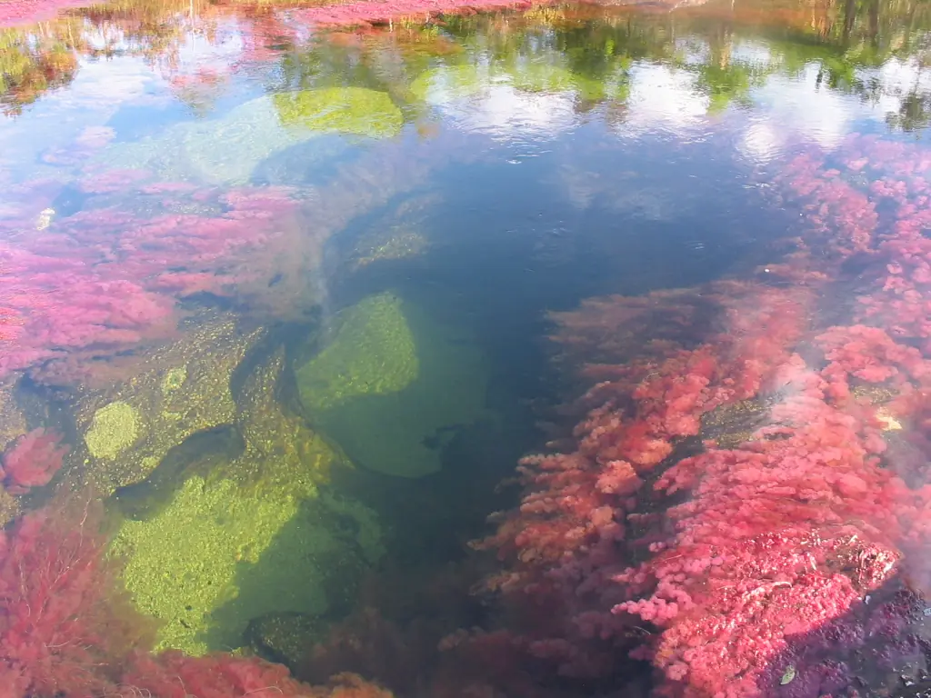 cristales