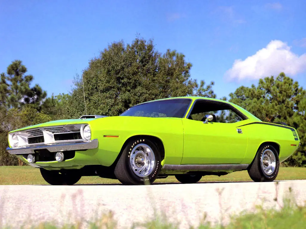 barracuda