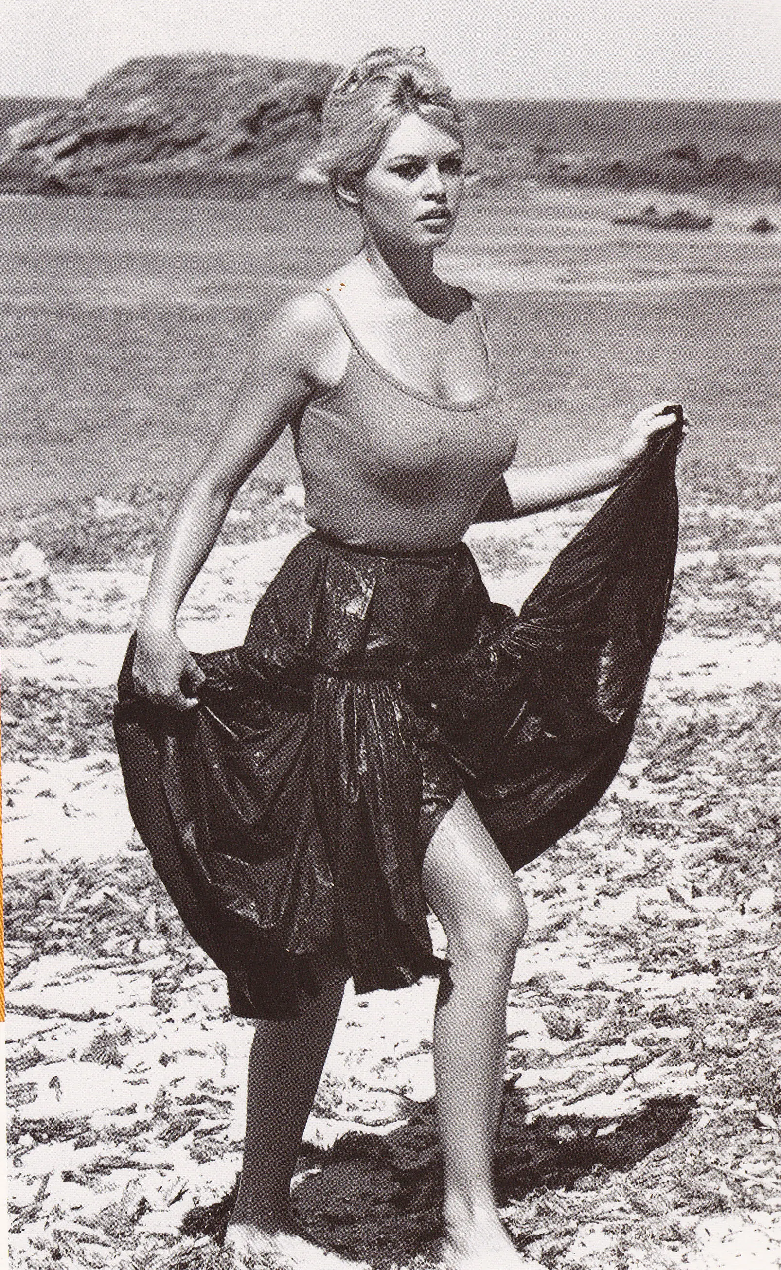 Brigitte Bardot el post que se merece
