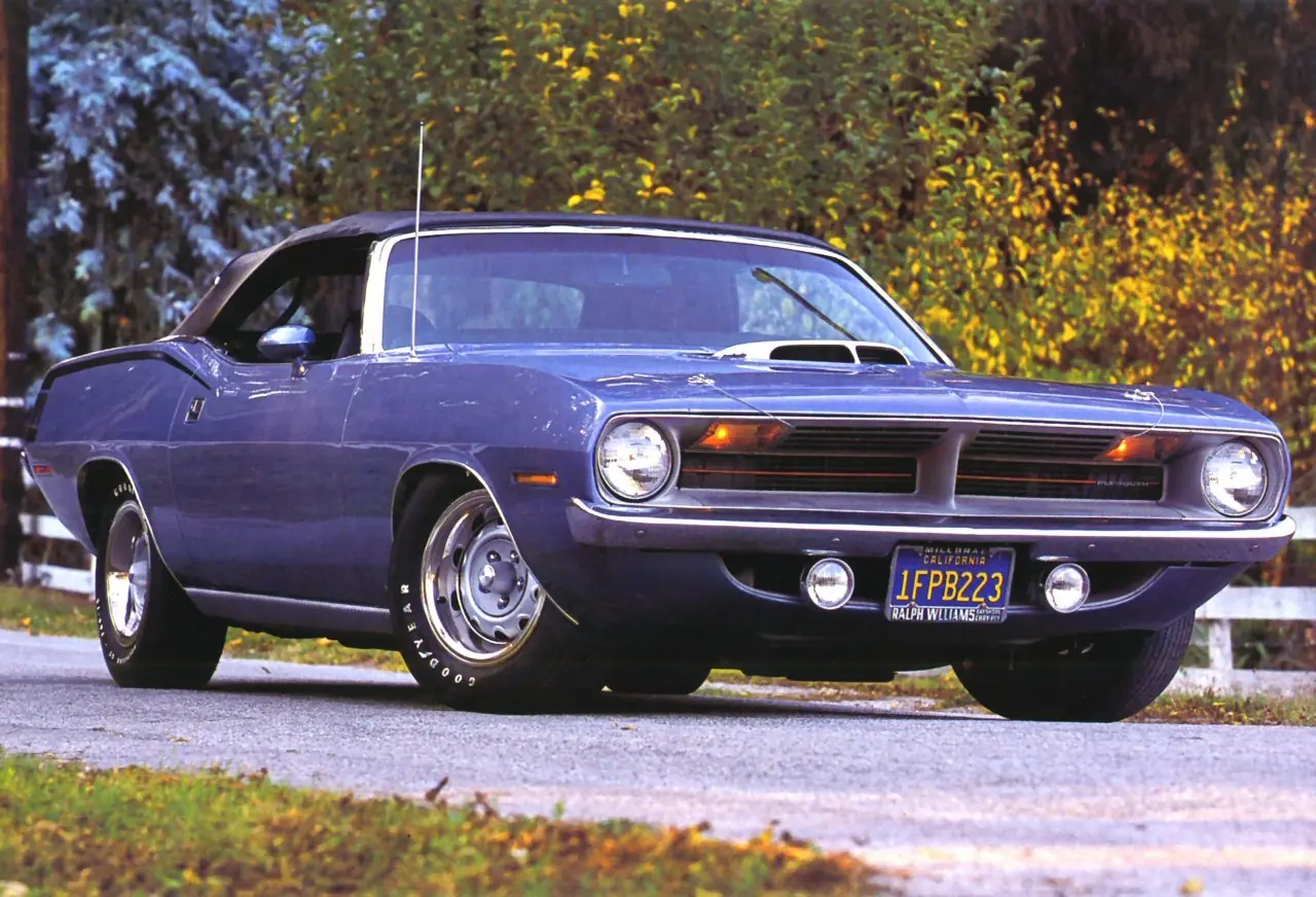 barracuda
