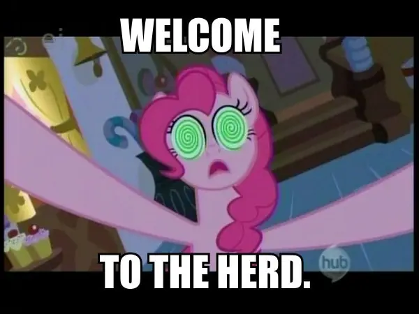 bronys