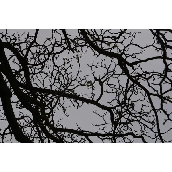 Hitchcock