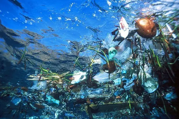 microplasticos