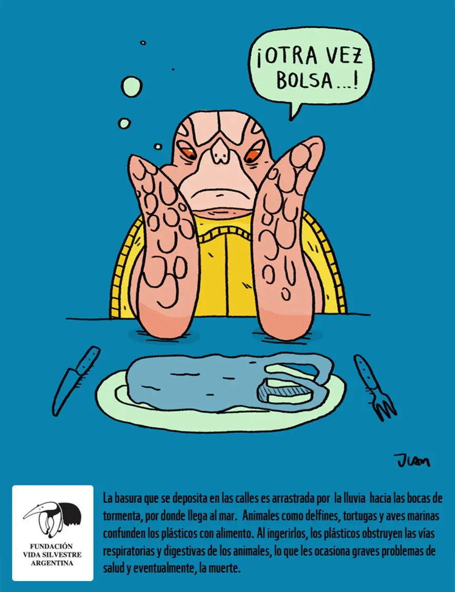 Viñeta de Enero: Fuera de mi plato