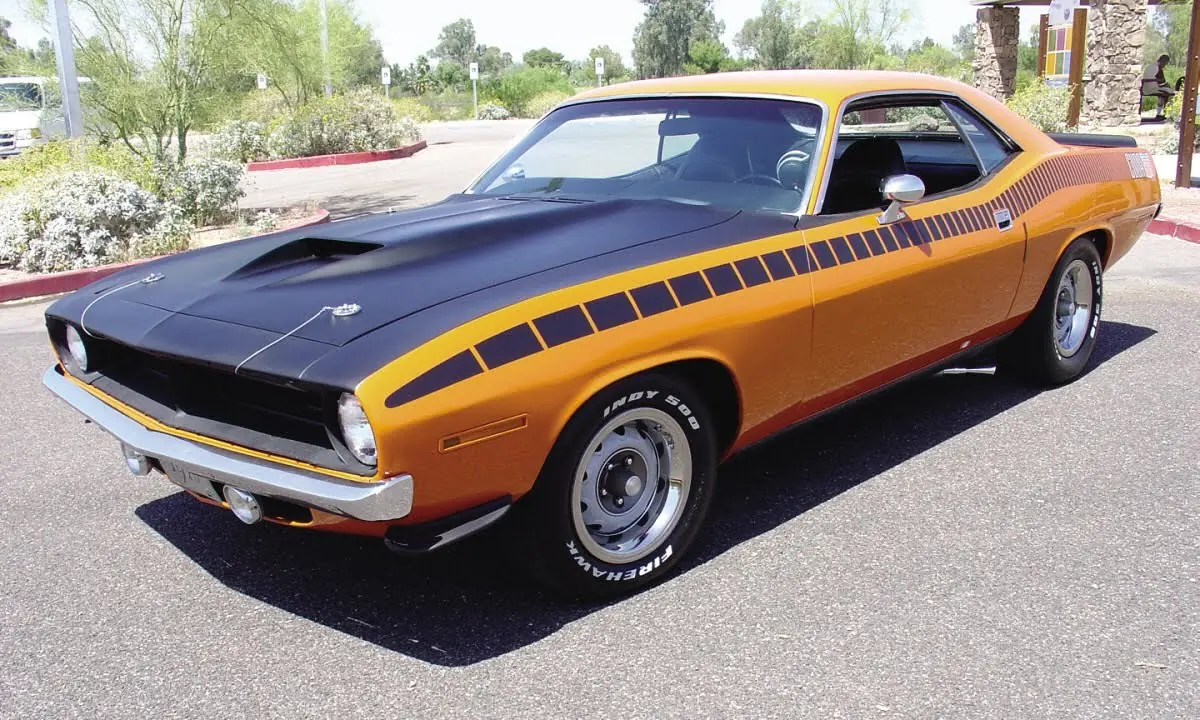 barracuda